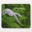 Search for beautiful mousepads Elegant