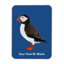 Search for birds rectangular magnets Seabird