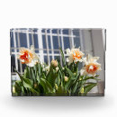 Search for photo mask posters White
