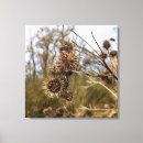 Search for thistle canvas prints Floral