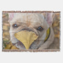 Search for french bulldog blankets Canine
