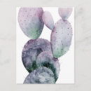 Search for cacti postcards Leaf