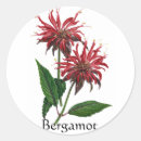 Search for balm stickers Purple