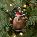 Search for capybara christmas tree decorations Santa