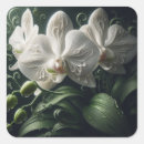 Search for white orchid stickers Botanical