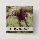 Search for low lying badges Dog