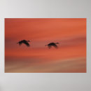 Search for wildlife posters Silhouette