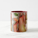 Search for carnivorous plants mugs Garden