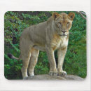 Search for regal mousepads Wildlife