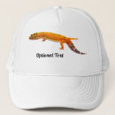 Search for lizard hats Exotic