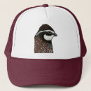 Search for quails hats Hunting