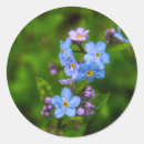 Search for forget me not stickers Blue