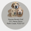 Search for love address stickers Dog