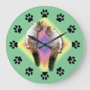 Search for mirror clocks Black