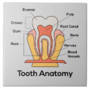 Search for anatomy tiles Health