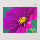 Search for yellow daisy birthday cards Nature
