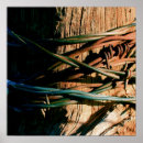 Search for barbe posters Country