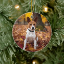 Search for basenji christmas tree decorations Pet