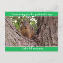 Search for funny squirrel postcards Cute