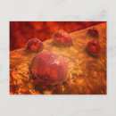 Search for immunology postcards Three dimensional