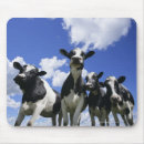Search for blue sky with cloud electronics Outdoors