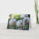 Search for funny science birthday cards Humour