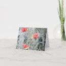 Search for stalk cards Plant