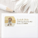 Search for cute shih tzu return address labels Pet