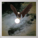 Search for fantasy sky posters Nature