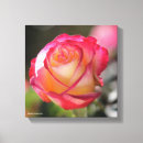 Search for delightful canvas prints Roses