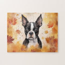 Search for boston terrier puzzles Cute