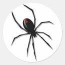 Search for scary spider stickers Insect