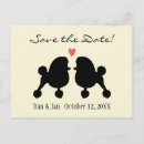 Search for black poodle invitations Dog