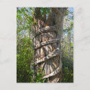 Search for fig postcards Tree