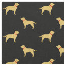 Search for collars Labrador retriever