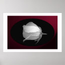 Search for white rose bud posters Floral