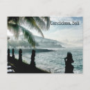 Search for palm tree seasonal cards Vacation