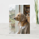 Search for funny dog birthday cards Golden retriever