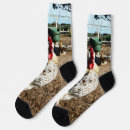 Search for rooster socks Bird