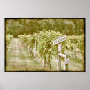 Search for st photography Vintage