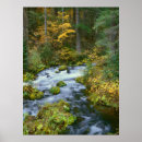 Search for cascade range posters Pacific northwest
