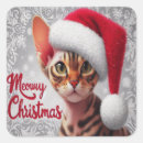 Search for devon stickers Xmas