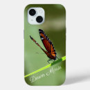 Search for butterflies pictures electronics Nature photography
