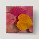 Search for fall colour badges Pattern
