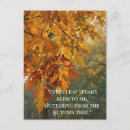 Search for autumn forest postcards Calm