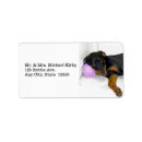 Search for rottweiler return address labels Puppy