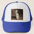 Search for rare baseball caps Cute