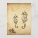 Search for beach baby postcards Vintage