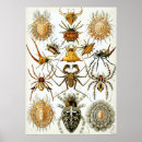 Search for scientific posters Illustration
