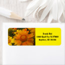 Search for spider return address labels Flowers